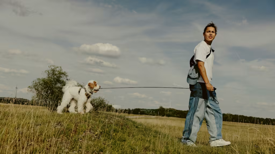 img, 新赛季前的, gtimg