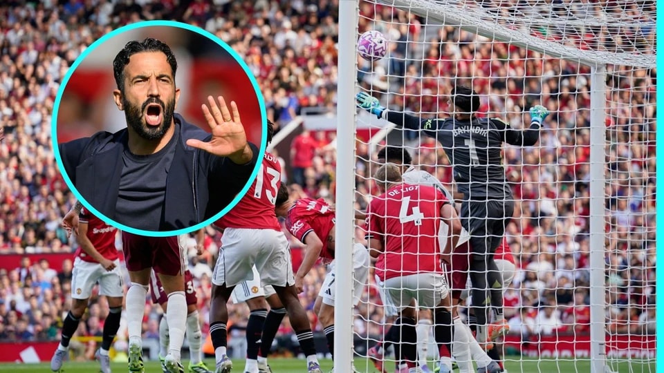 岁的球员第, 置信, 我们已经看